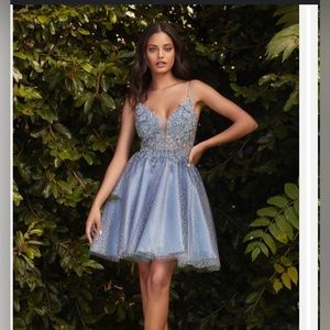 Size 14 Cinderella Divine CD0189: Baby Blue